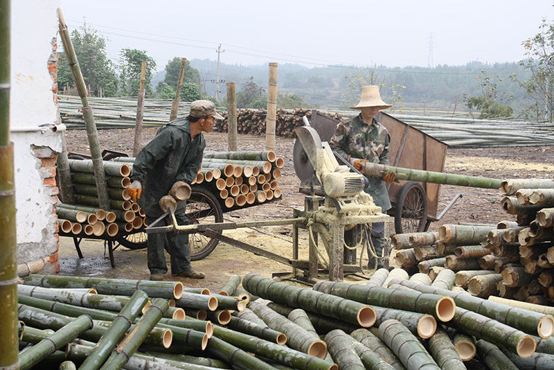 Zusägen des Bambus für Parkett