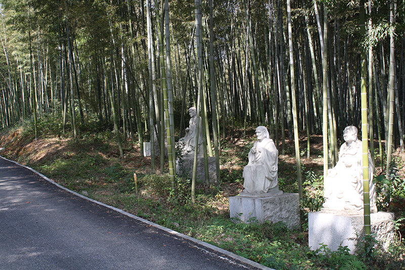Bambuswald mit Glücks-Buddhas